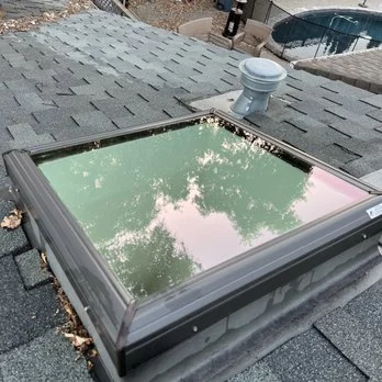Professional gutter cleaning service
